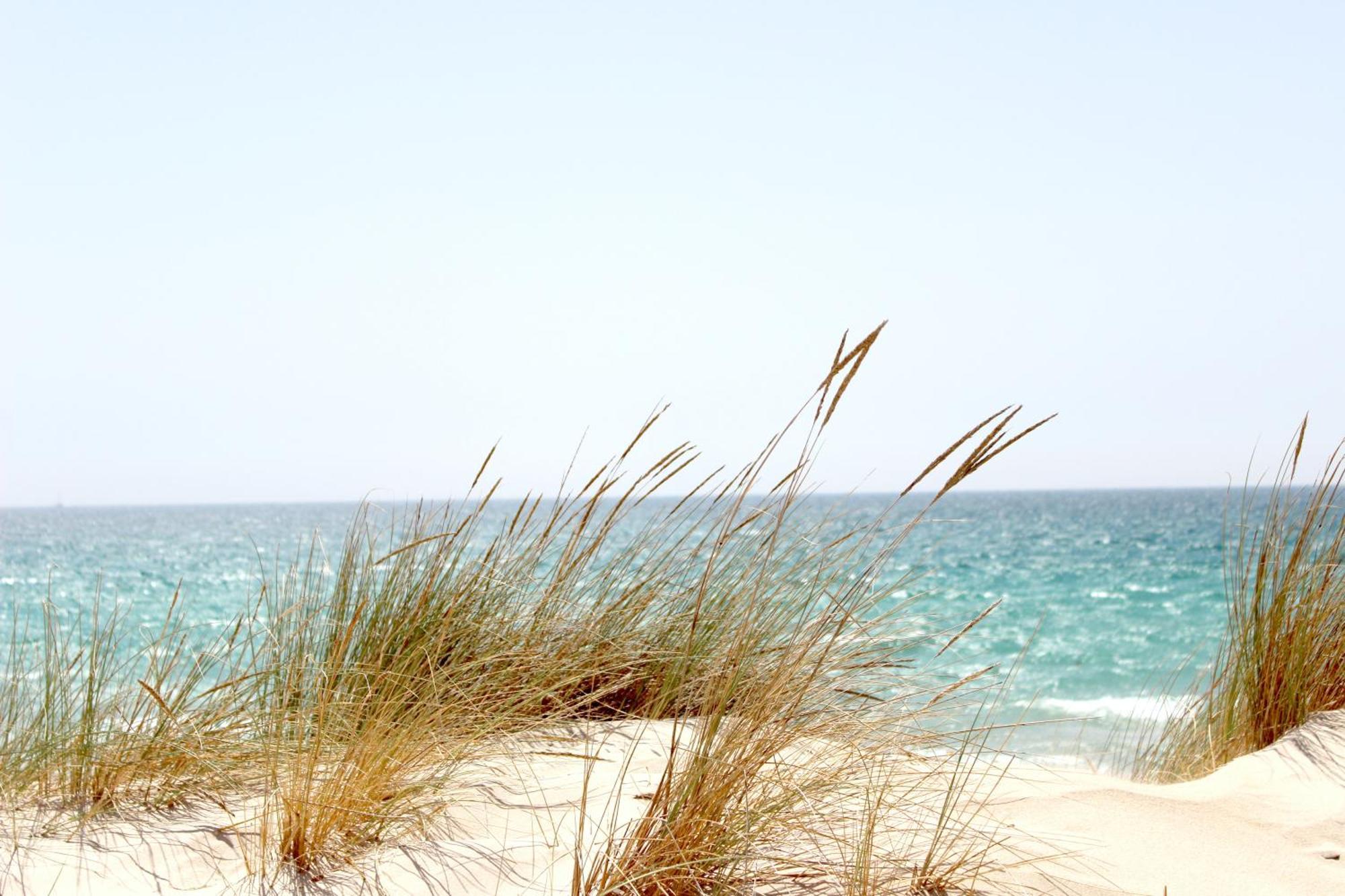 Ocean Sands Beach Inn (Adults Only) سانت أوغيستين المظهر الخارجي الصورة